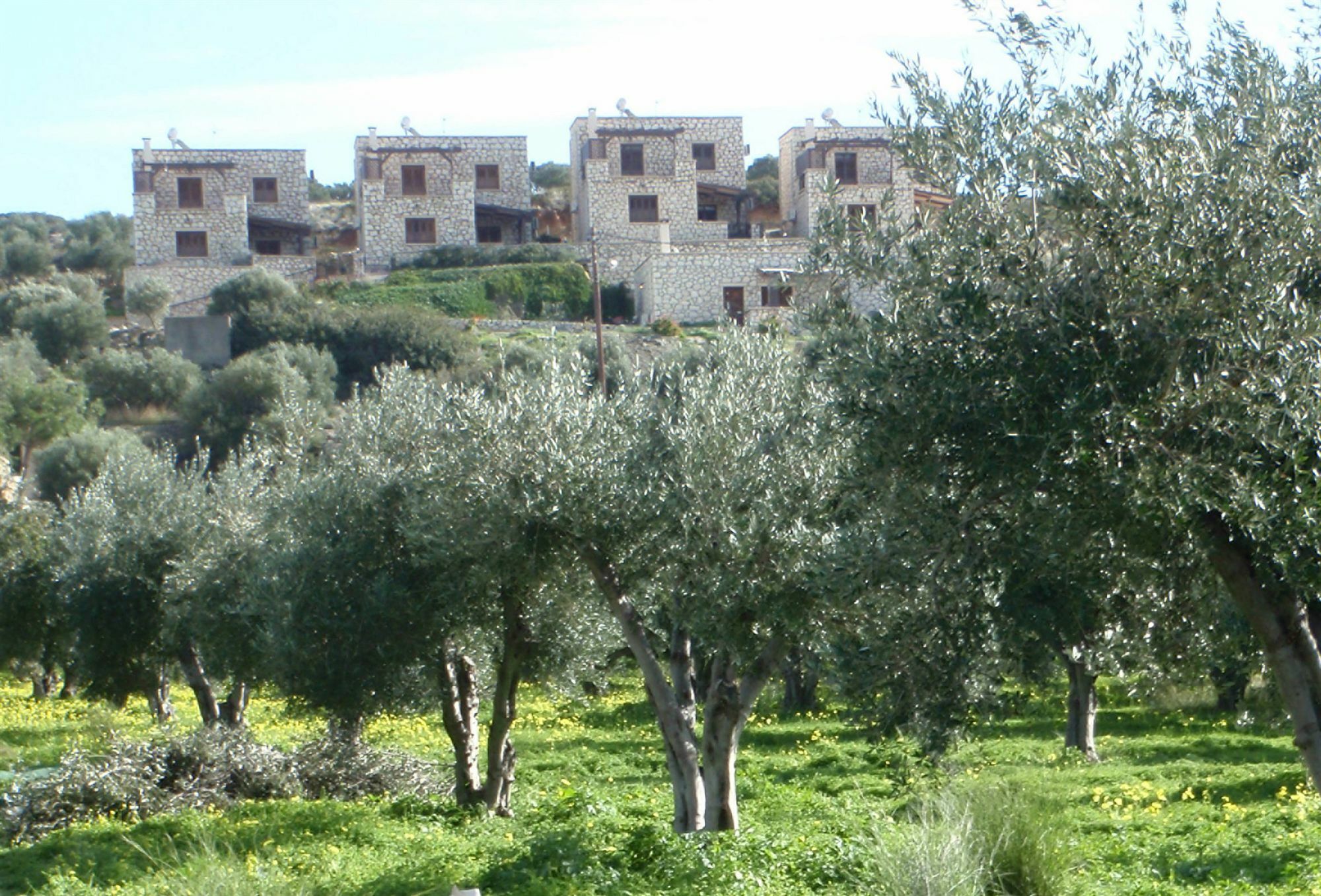 Ville Du Soleil - Exclusive Homes With Rustic Charm And Sensational Views Of The Mediterranean Sea Makrýgialos Exterior foto